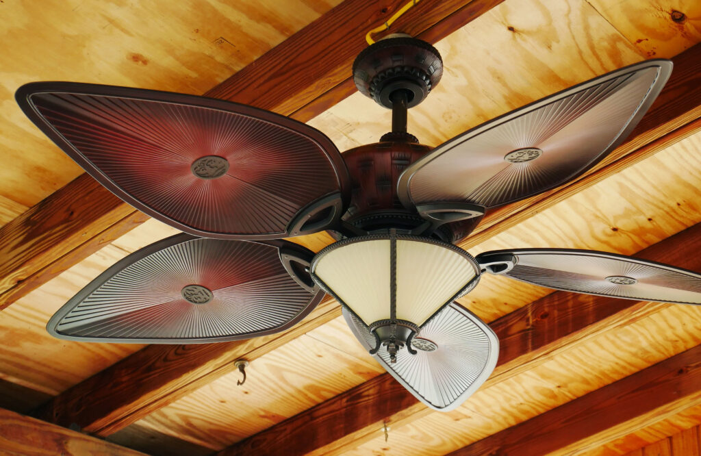 ceiling fan1