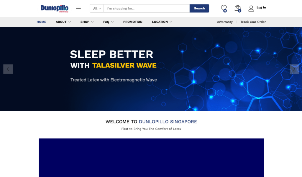 Ultimate Singapore Mattress Buying Guide in 2024 Homees.co