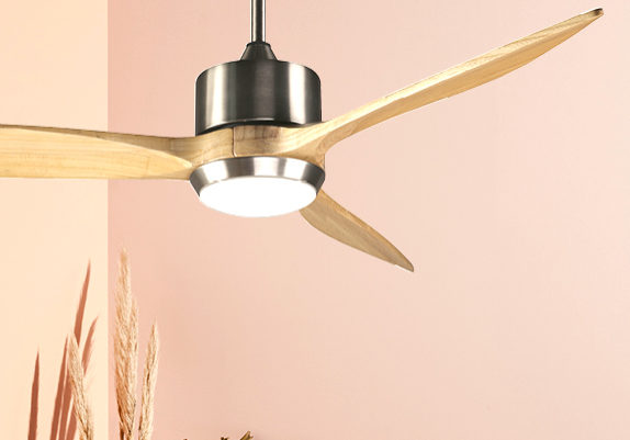 ceiling fan lighitng