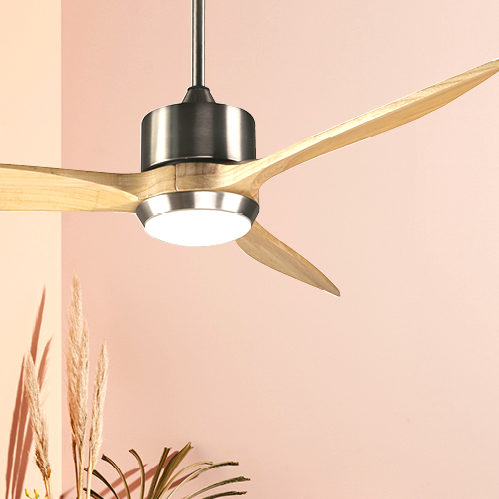 ceiling fan lighitng