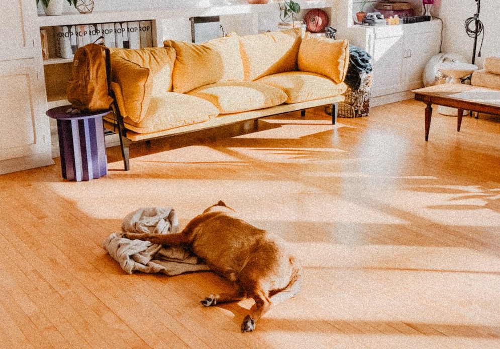 home wooden floor