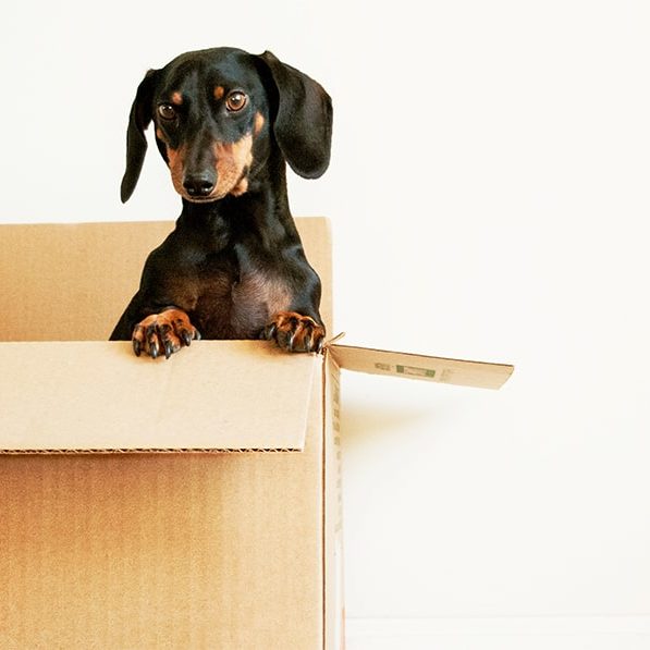Storage Space Rental Header
