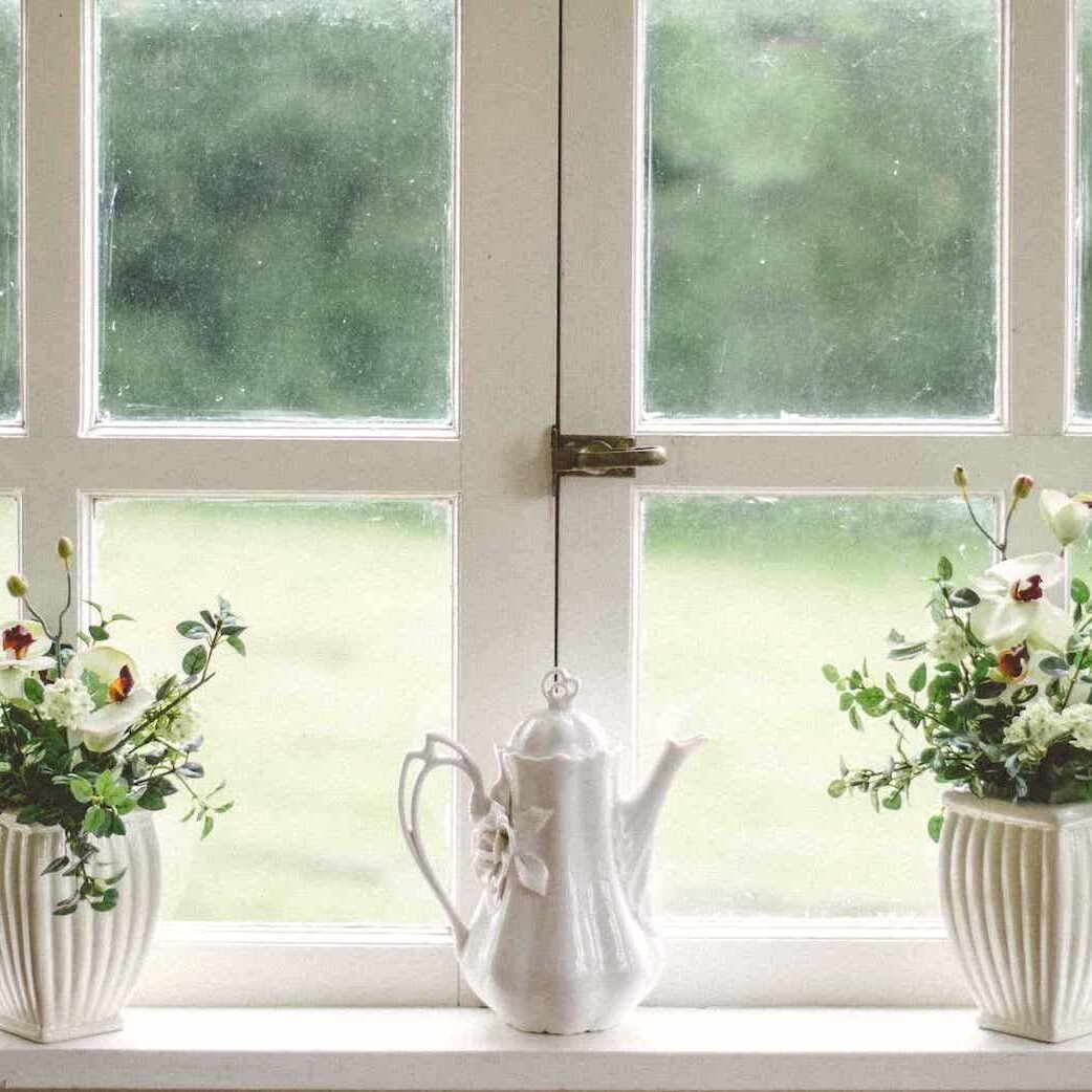 window potted plants