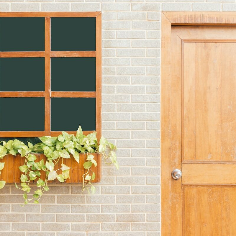 wooden classic door