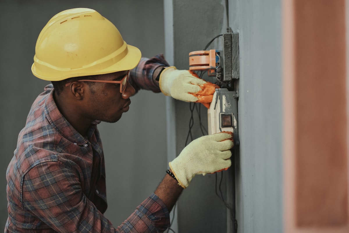 Termite Treatment in Singapore: Full Guide
