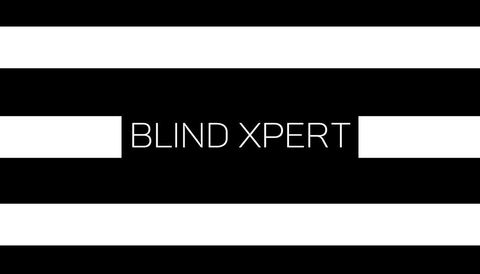 BlindXpert Pte Ltd logo