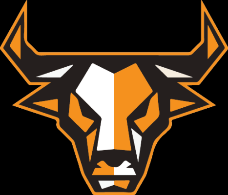 Bull Movers Pte. Ltd. logo