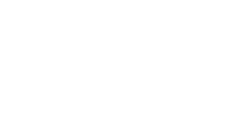 The Timber Guys logo
